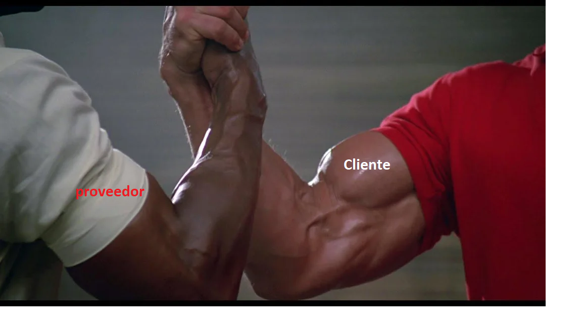 Consultoría de Compras